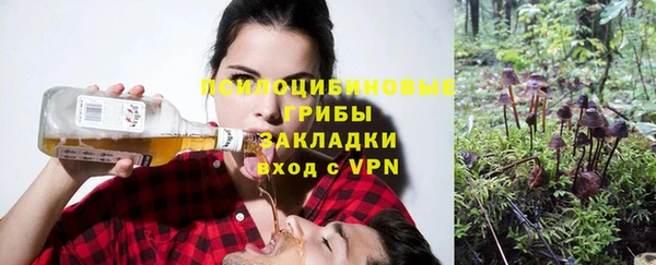 дживик Алзамай