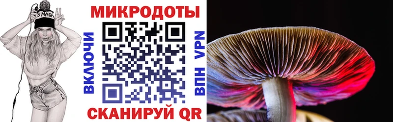 Галлюциногенные грибы GOLDEN TEACHER  Липки 